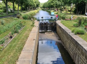 Excursión Senderismo Pontivy - TSM - Autour de Pontivy - Photo