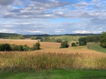 Trail Walking Le Heaulme - Le Haulme Neuilly en Vexin  - Photo