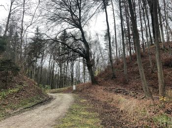 Tour Zu Fuß Embrach - Embrach - Tössegg Schiffsteg - Photo