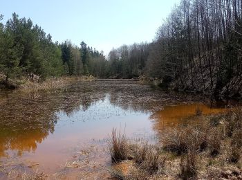 Trail On foot Třemošná - [Č] Senný dolík - Záluží - Photo