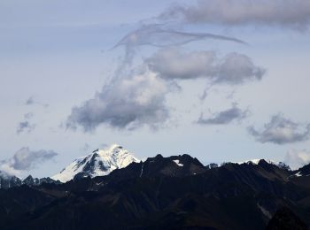 Tour Zu Fuß Courmayeur - Mont Fortin - Photo