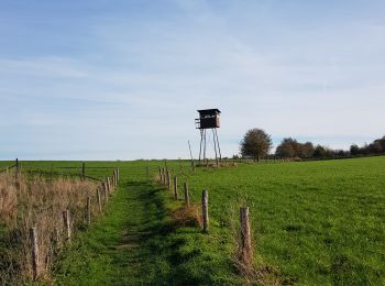 Trail Walking Eijsden-Margraten - 2022-11-10_16h33m33_1327 - Photo