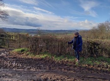 Tocht Stappen Saint-Huruge - la ballade a Mamou - Photo