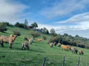 Randonnée Marche Ponsas - Les roches qui danse - Photo