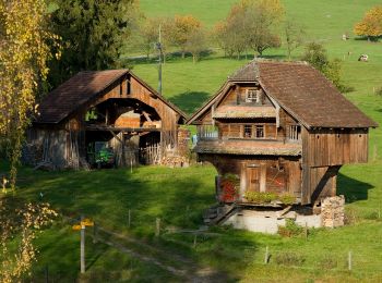Trail On foot Grosswangen - Oberdorf - Dogelzwil - Photo