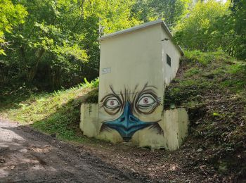 Tocht Stappen Ax-les-Thermes - Sorgeat et Ignaux au départ d'Ax les thermes - Photo