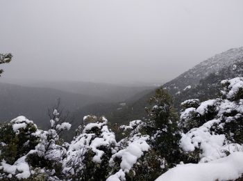 Tocht Stappen Escragnolles - Escragnolles , Rouyère chapelle Saint Matin en hiver - Photo