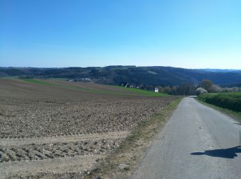 Trail Walking Lac de la Haute-Sûre - Liefrange 1 - Photo