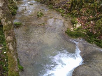 Tocht Stappen Dramelay - Dramelay Quinquenouille  - Photo