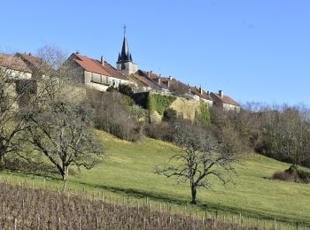 Excursión Senderismo Macornay - Macornay, Mancy, montaigu, Moiron, Vaux - Photo