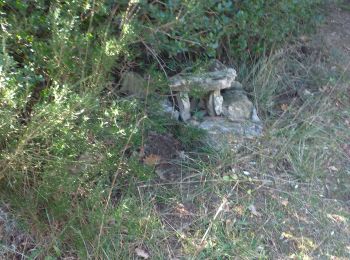 Tour Wandern Garéoult - l'amarron et son dolmen au départ de Garréoult la Gabelle - Photo