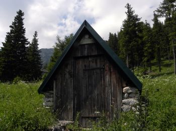 Tour Zu Fuß Gemeinde Reichenau an der Rax - Griesleiten - Waxriegelhaus - Neue Seehütte - Photo