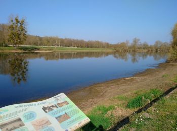 Tour Wandern Saint-Georges-sur-Cher - Saint-Georges-sur-Cher - Faverolles-sur-Cher - 10.8km 114m 1h54 - 2016 09 24 - Photo