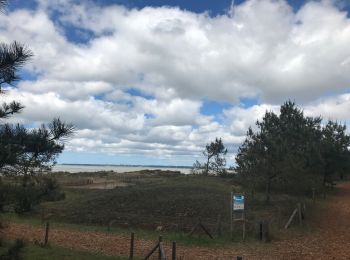 Randonnée Marche Saint-Brevin-les-Pins - St Brevin Mer et Dune - Photo