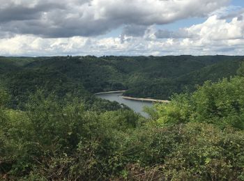 Randonnée Marche Larodde - Retenue du barrage de Bort les Orgues - Photo