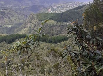 Tour Wandern Cilaos - le bloc piton des neiges - Photo