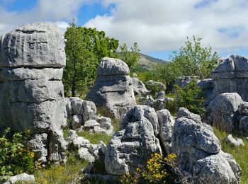 Randonnée Marche Courmes - puy tourettes - Photo