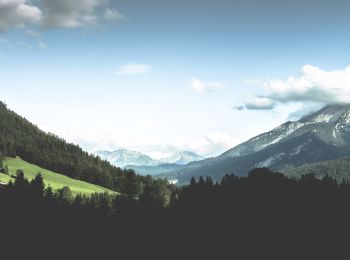 Tour Zu Fuß Ramsau bei Berchtesgaden - Wanderweg 71 (Rund um den Taubensee) - Photo