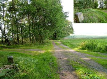 Trail On foot Belgern-Schildau - Rundweg Kobershain - Photo