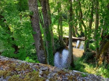 Trail Walking Pargny-la-Dhuys - Pargnys la Dhuys  - Photo