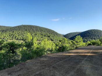 Trail Walking La Bastide-des-Jourdans - la bastide des jourdan.  - Photo