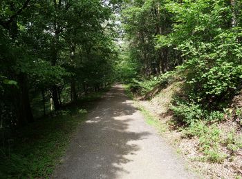 Tour Zu Fuß Heimbach - Jägerpfad - Photo