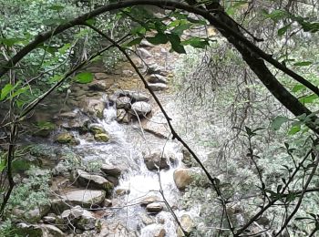 Trail Walking Saint-Jean-d'Arvey - trou de l'enfer St Jean d'Arvey  - Photo