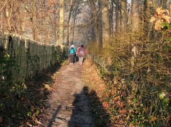 Tour Wandern Lasne - #221010 - Ohain, Ransbeck et Manahattant (full GR)**** - Photo