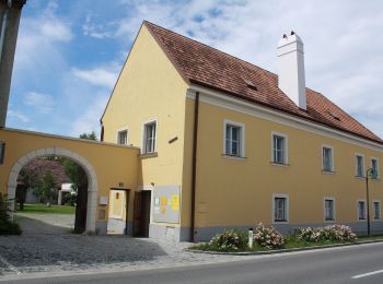 Percorso A piedi Gemeinde Münchendorf - Tut gut! Schritteweg Münchendorf - Photo