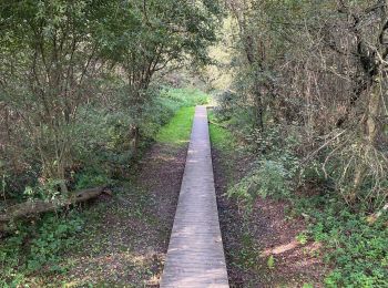 Tocht Stappen Wezembeek-Oppem - S-GR Dijleland : Tervuren - Sint-Joris-Weert - Photo