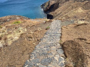 Tocht Stappen Caniçal - PR8 Madère Madeira - Photo