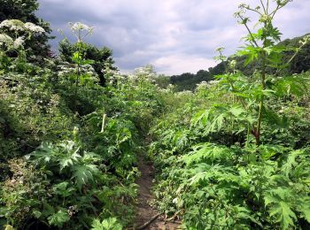 Tour Zu Fuß Unbekannt - Dreiecksweg Kettwig - Mülheim - Photo