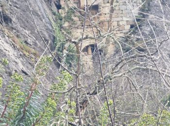 Randonnée Marche Coux - Coux Grottes de la Jaubernie 7km. - Photo