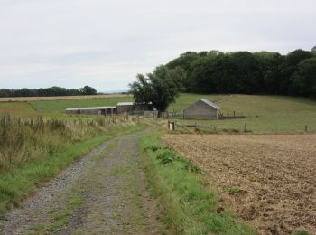 Tocht Stappen Ouffet - Warzée - Photo