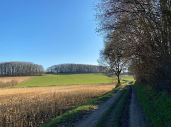 Tour Wandern Huldenberg - Ottemburg  - réserve naturelle de Rodebos - Photo