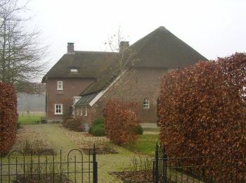 Randonnée A pied Wijchen - Wandelroute landgoed Hernen en Bergharen - Photo