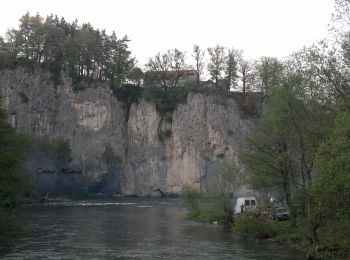 Tour Zu Fuß  - Vadu crisului: Circuitul galben - Photo