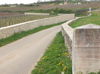 Percorso Marcia Vougeot - Clos Vougeot - Photo