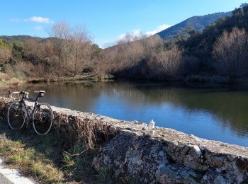 Tocht Wegfiets Draguignan - 20220125 vélo route - Photo