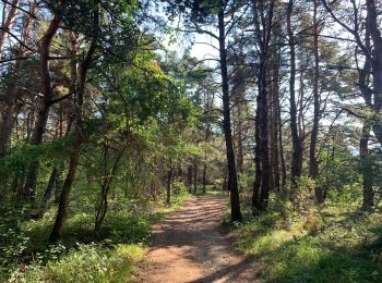 Percorso Marcia Chorges - CHORGES camping clé des champs Cantheloube retour par le nord - Photo