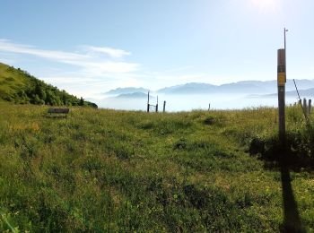 Excursión Senderismo Gresse-en-Vercors - Le Pas de Serpaton - Photo