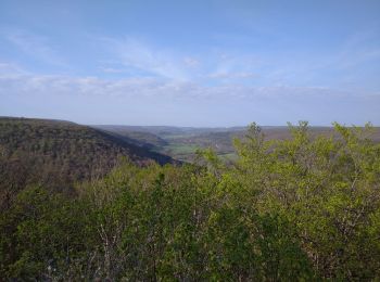 Trail Walking Saint-Jean-de-Bœuf - Saint JeandeBoeuf-Gissey sur Ouche - Photo