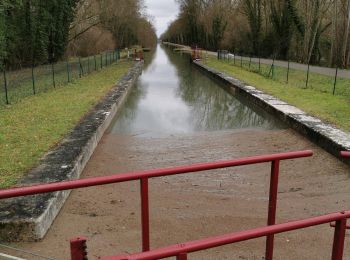 Randonnée Marche Saint-Lyé - St Lye - Photo