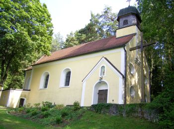 Excursión A pie Neunburg vorm Wald - Büchelbergweg - Photo