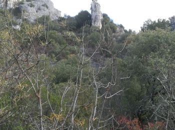 Excursión Senderismo Méthamis - là nesque - Photo