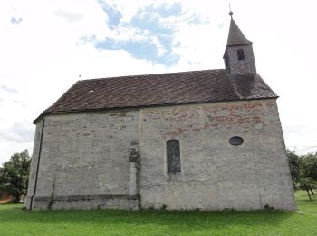 Percorso A piedi Bad Wimsbach-Neydharting - Über'd Moosleitn - Photo