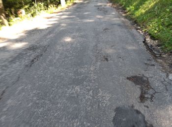 Randonnée Marche Romans-sur-Isère - vélo électrique Villard 15.08.24 - Photo