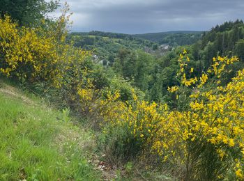 Tocht Stappen Monschau - Tour de Monschau 20Km - Photo