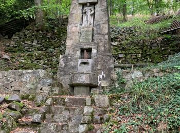 Randonnée Marche Soultz-Haut-Rhin - Randonnée vers le Vieil Armand - Photo