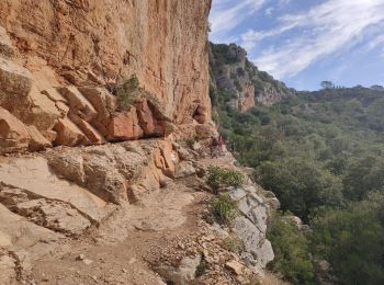 Randonnée Marche Cabasse - Autour de Cabasse - Photo